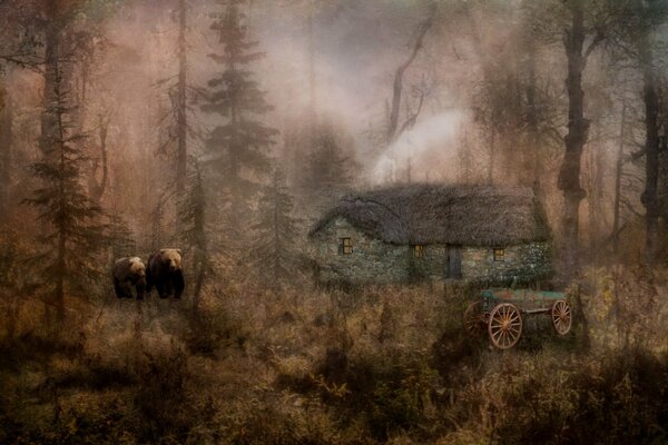 A hut in a dense forest