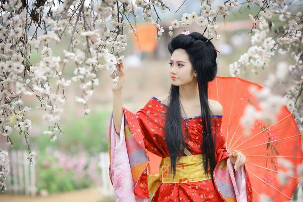 Motivos japoneses-chica en el fondo de la flor de cerezo