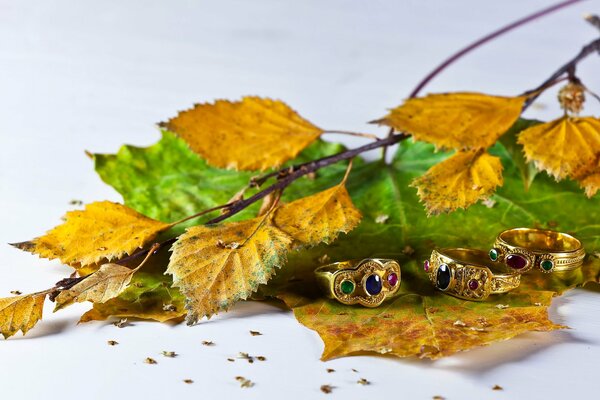 Decorations on the background of autumn foliage