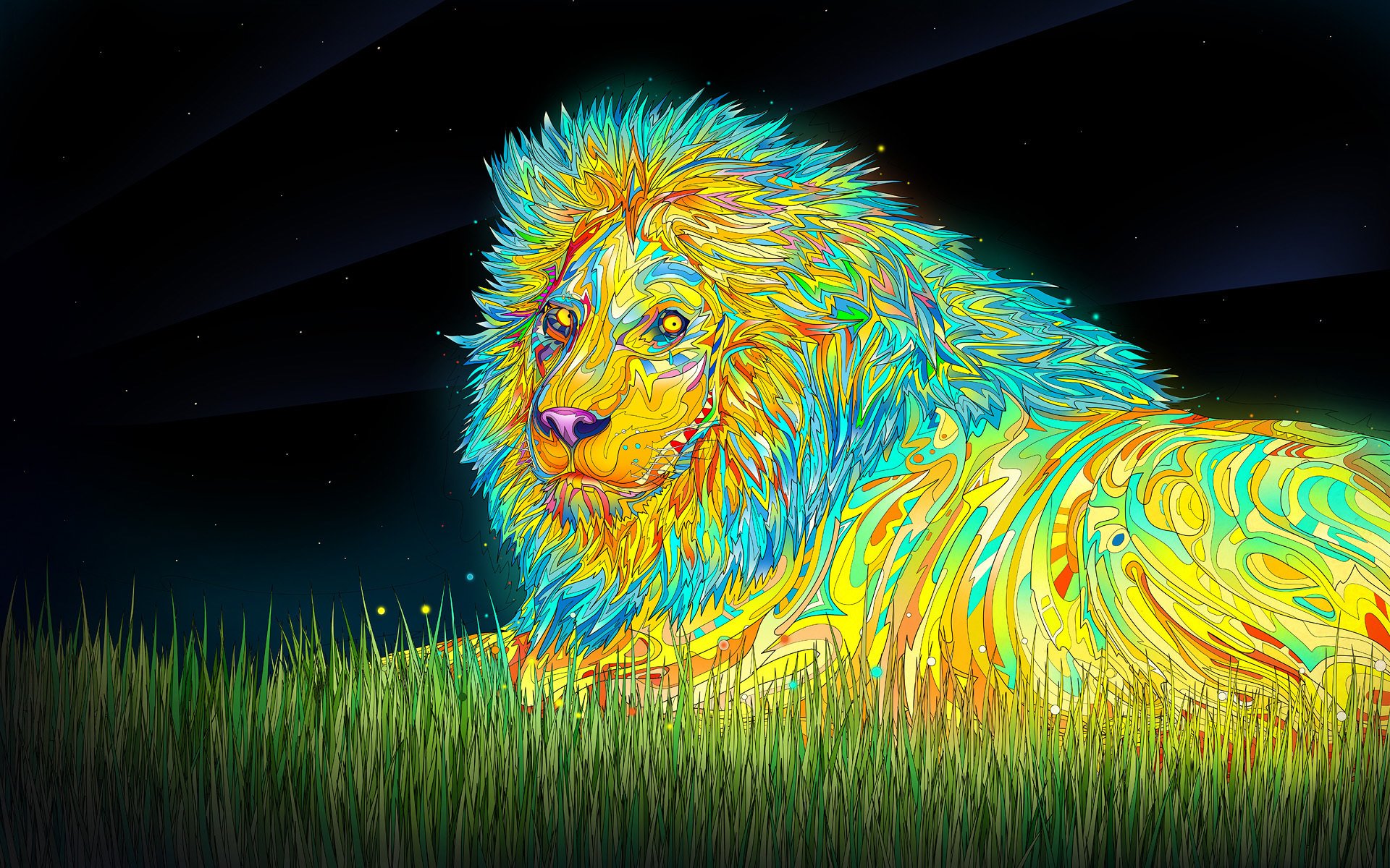 leo mane sky grass star flower