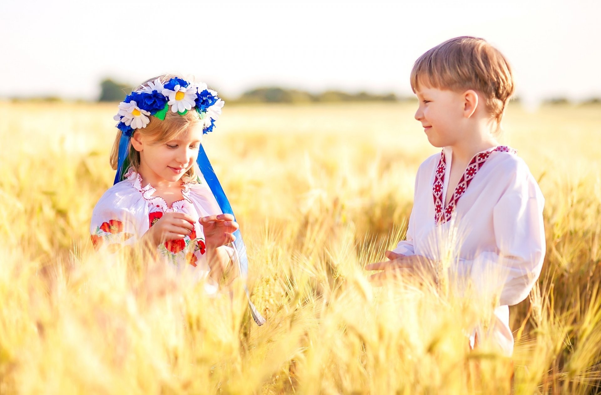 ucraina ucraini bambini ragazzo ragazza campo grano corona margherite