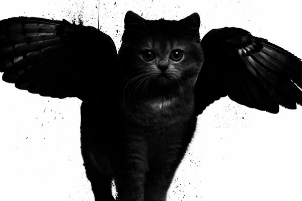 Арт-дизайн. Черный кот с крыльями