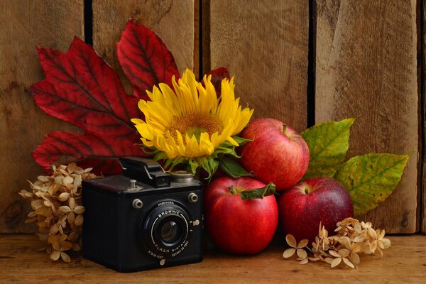 Herbst-Stillleben mit Kamera und Äpfeln