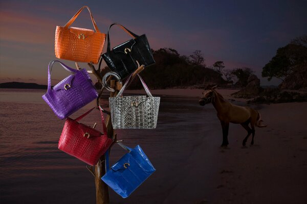 Collection de somme sur le bord de mer avec un cheval