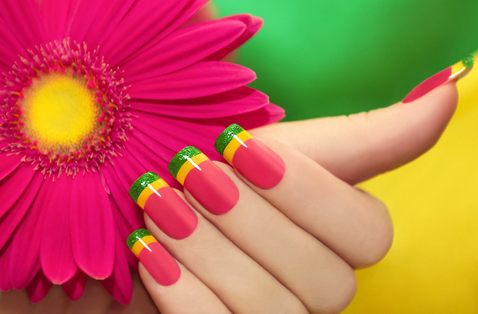 gerbera różowy kwiat manicure kolorowy