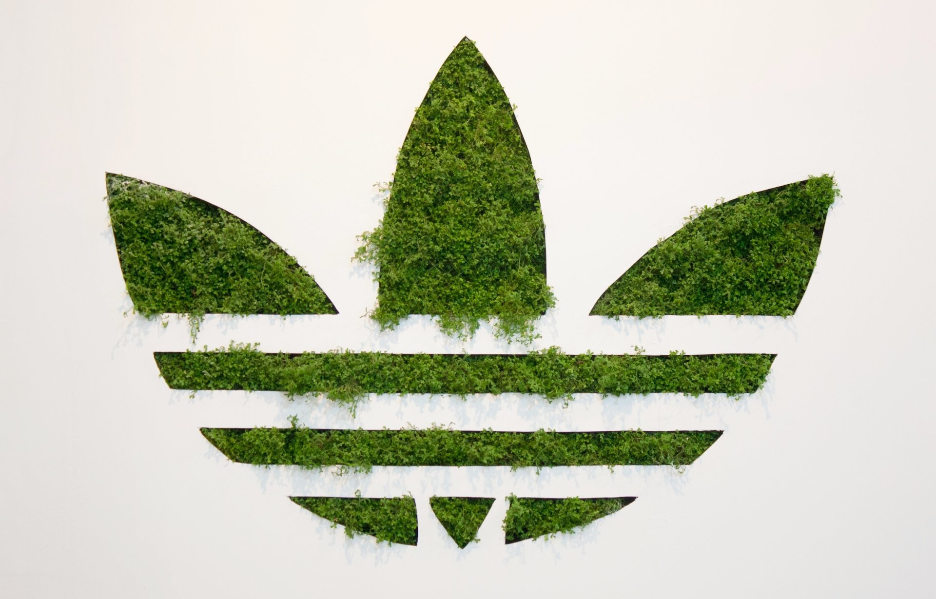 adidas adidas originals logo background gra