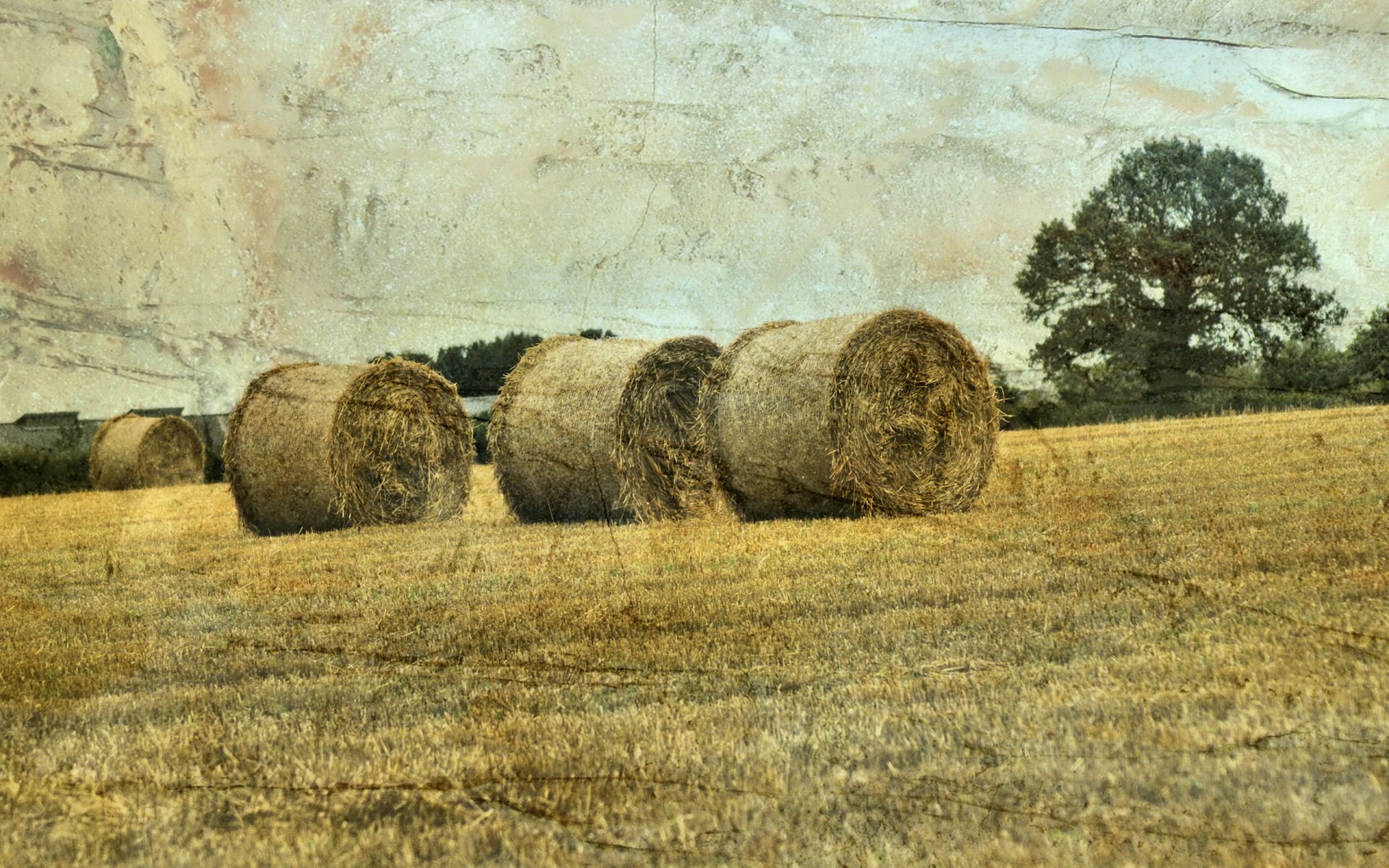 hay the field landscape style