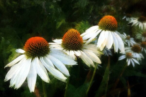 Wie schön es im Sommer war, das Meer hat Sonne und Blumen