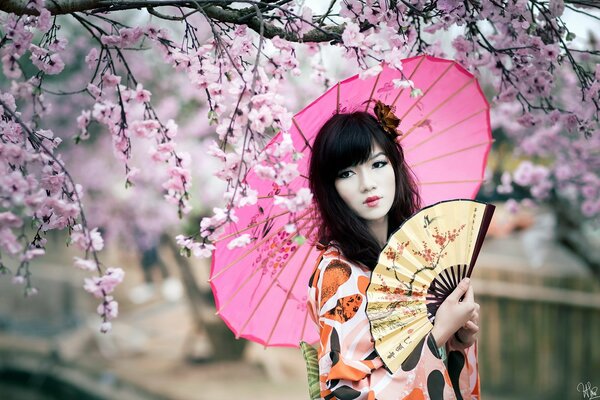 Asien Fan sakura Regenschirm