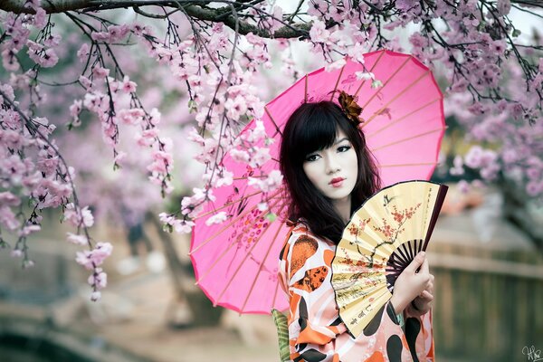 Asia sakura fan umbrella