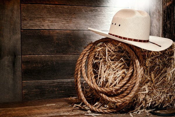 Cowboy hat and rope