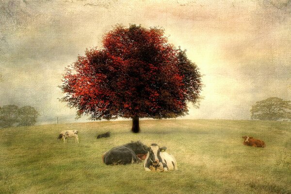 Landscape with cows under a tree