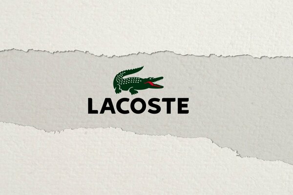 Logo avec crocodile sur fond gris