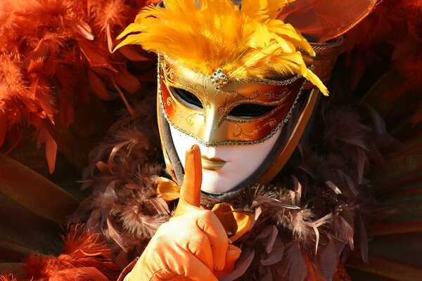 Maschera mistero segreto Carnevale