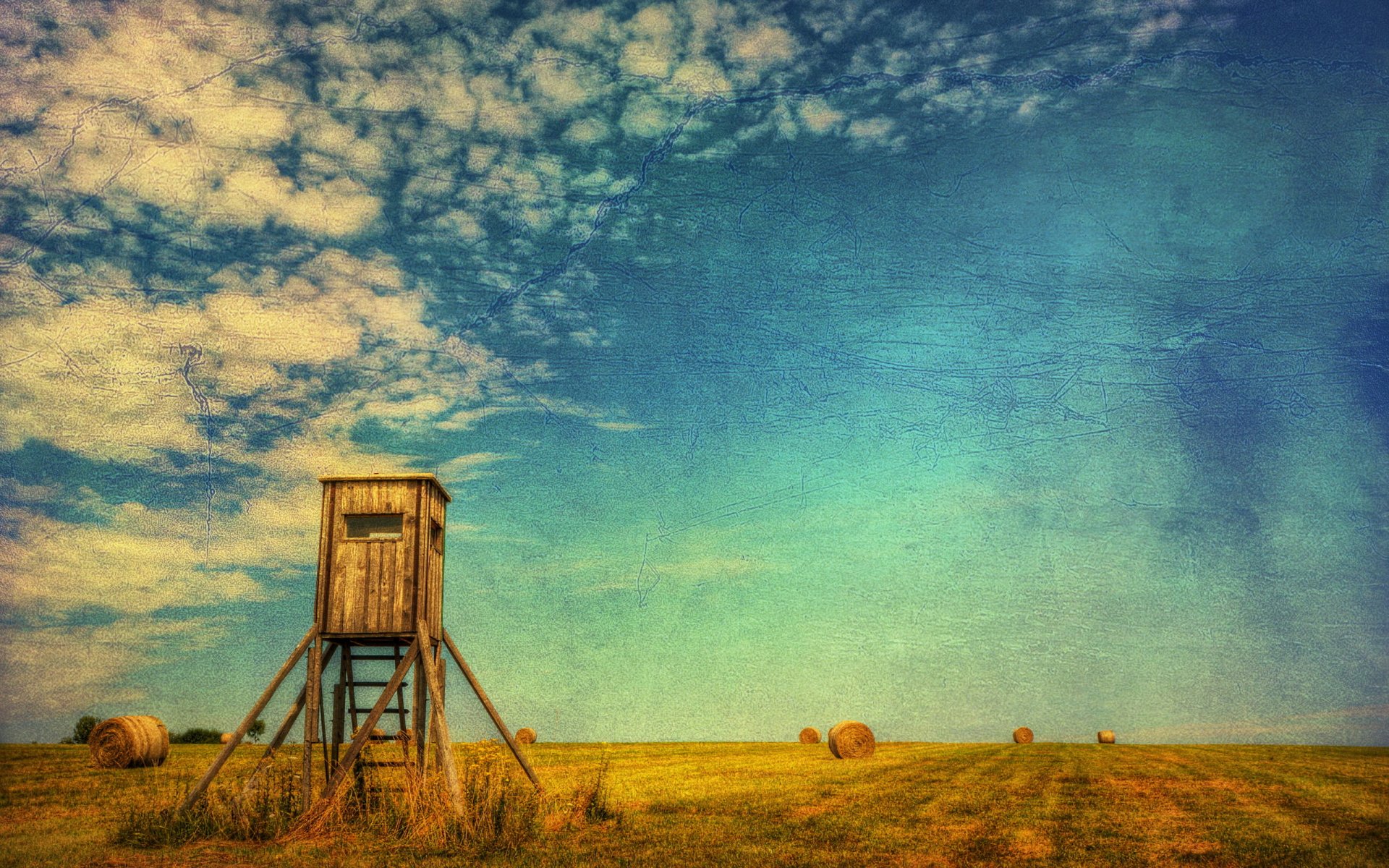 the field summer hay landscape style