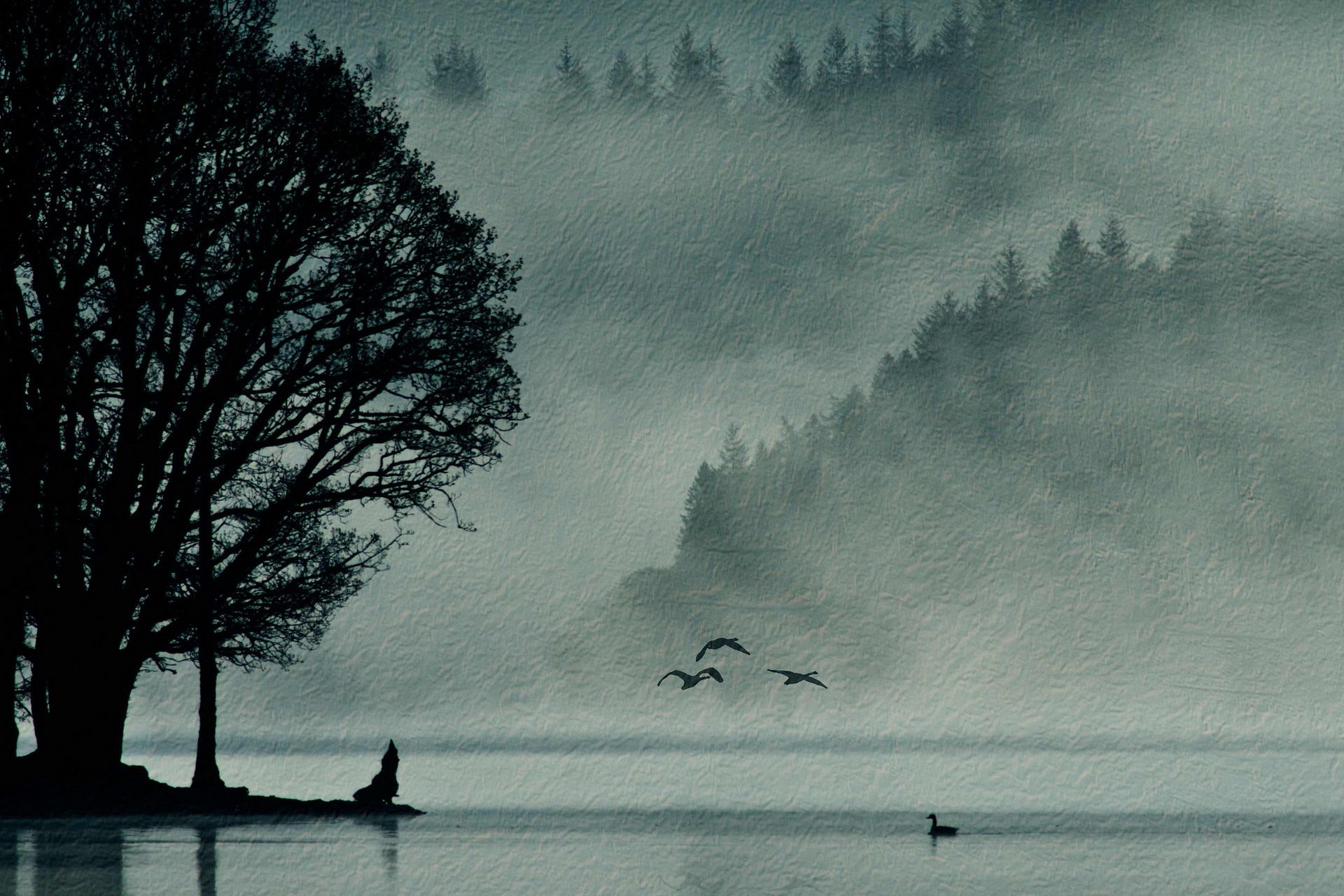 natur landschaft vögel hintergrund stil