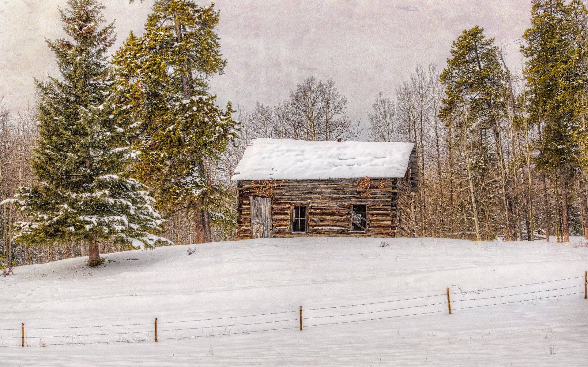 landscape winter house style