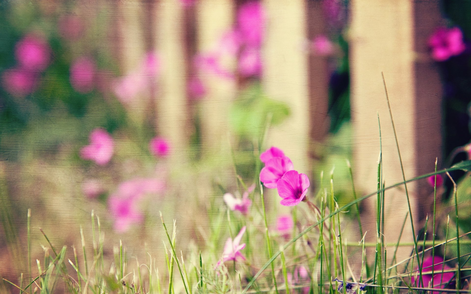 blumen zaun hintergrund stil