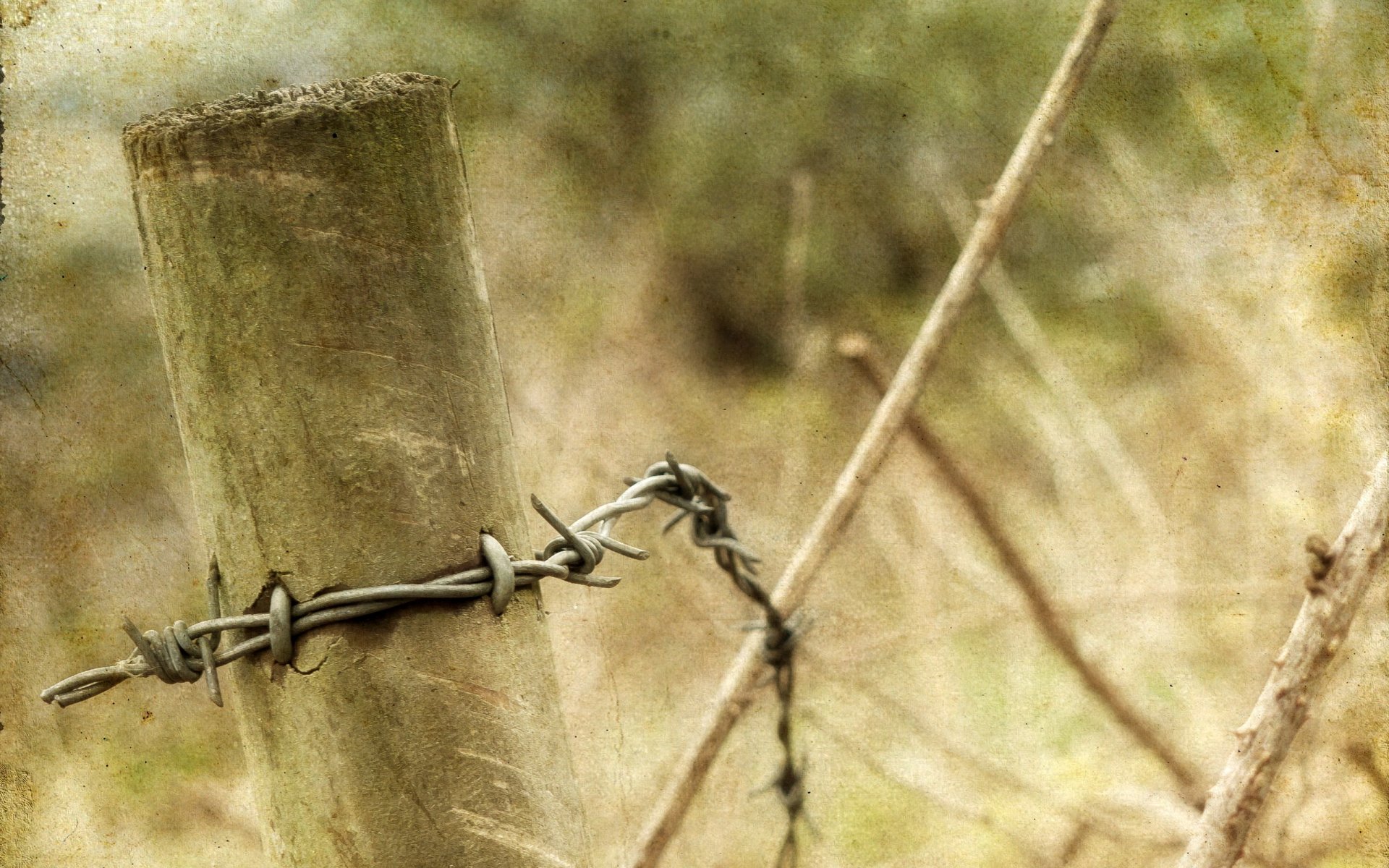 fence wire background style close up