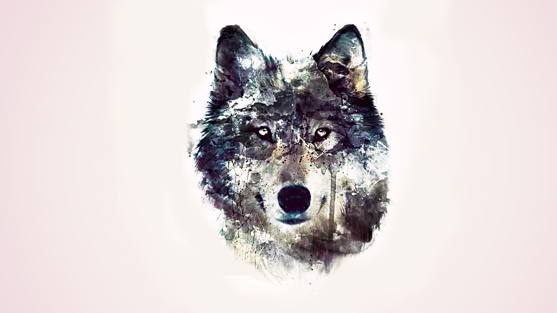 abstraction wolf background eye