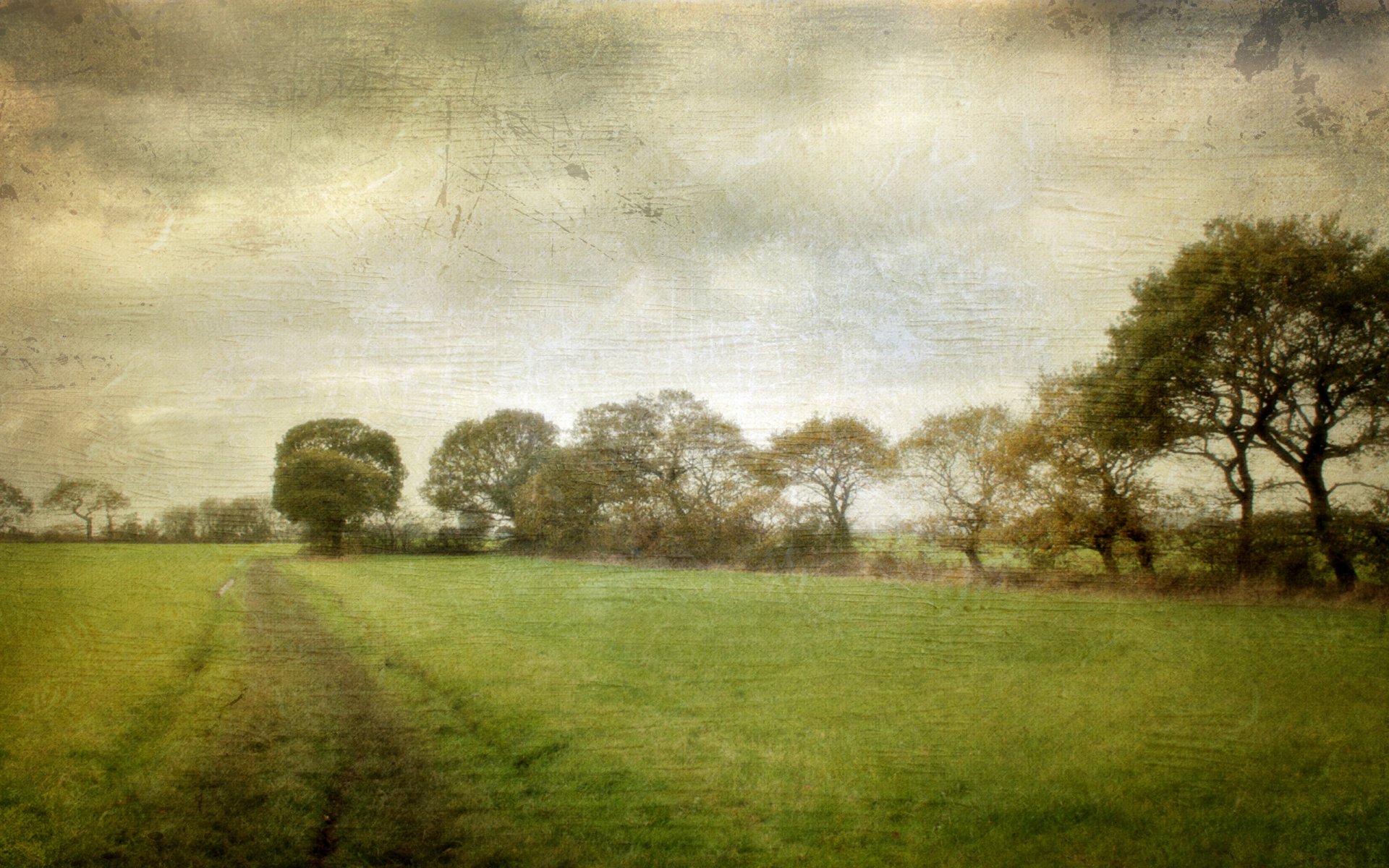 route nature fond texture style