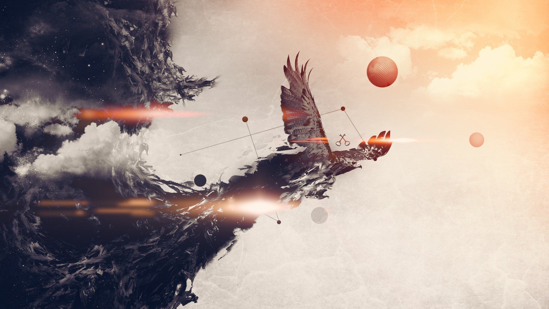 eagle collage graphics style hd wallpaper