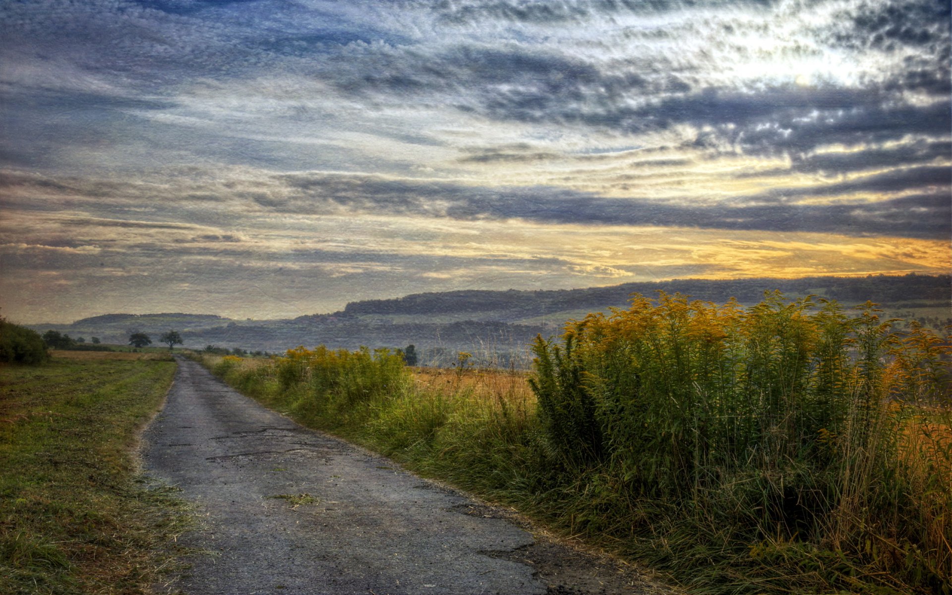 camino puesta del sol campo paisaje estilo