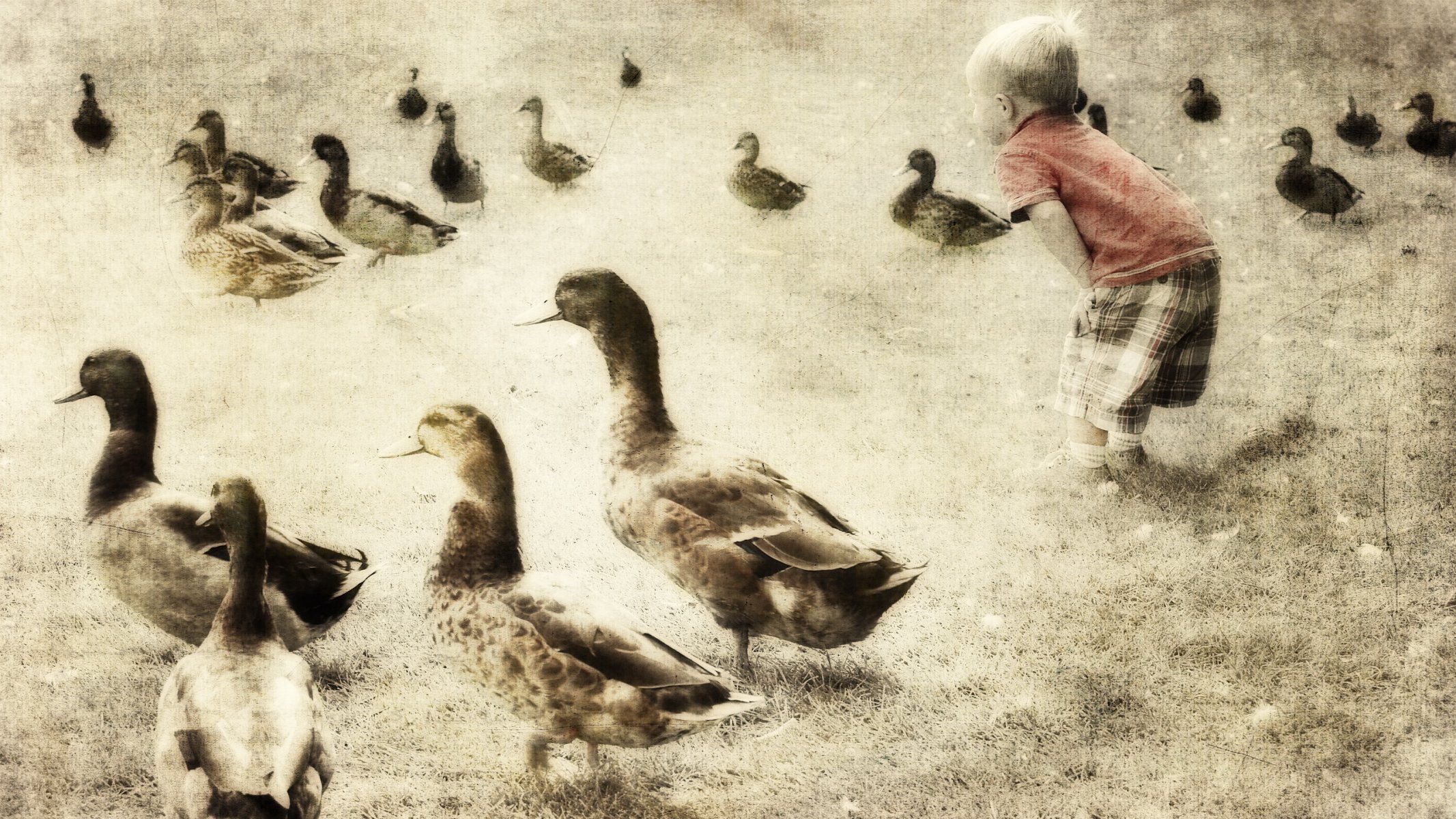 boys duck background style