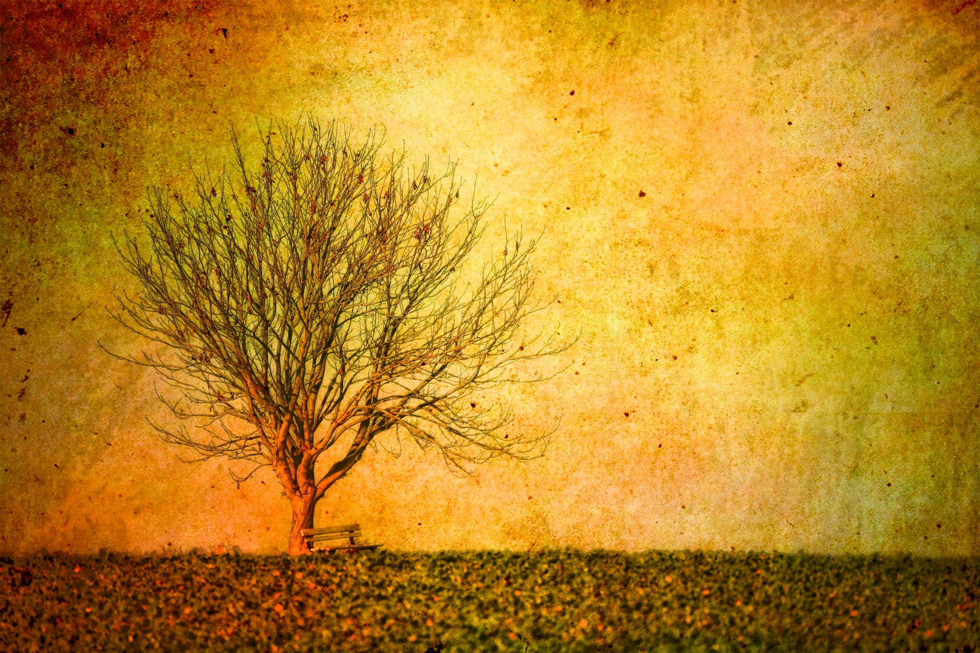 tree landscape style background