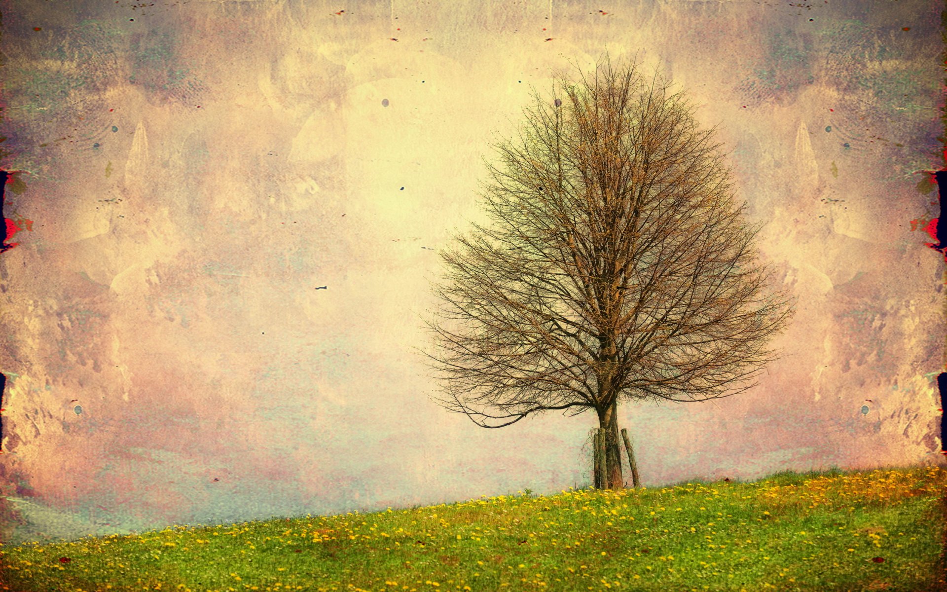 landscape tree nature background style