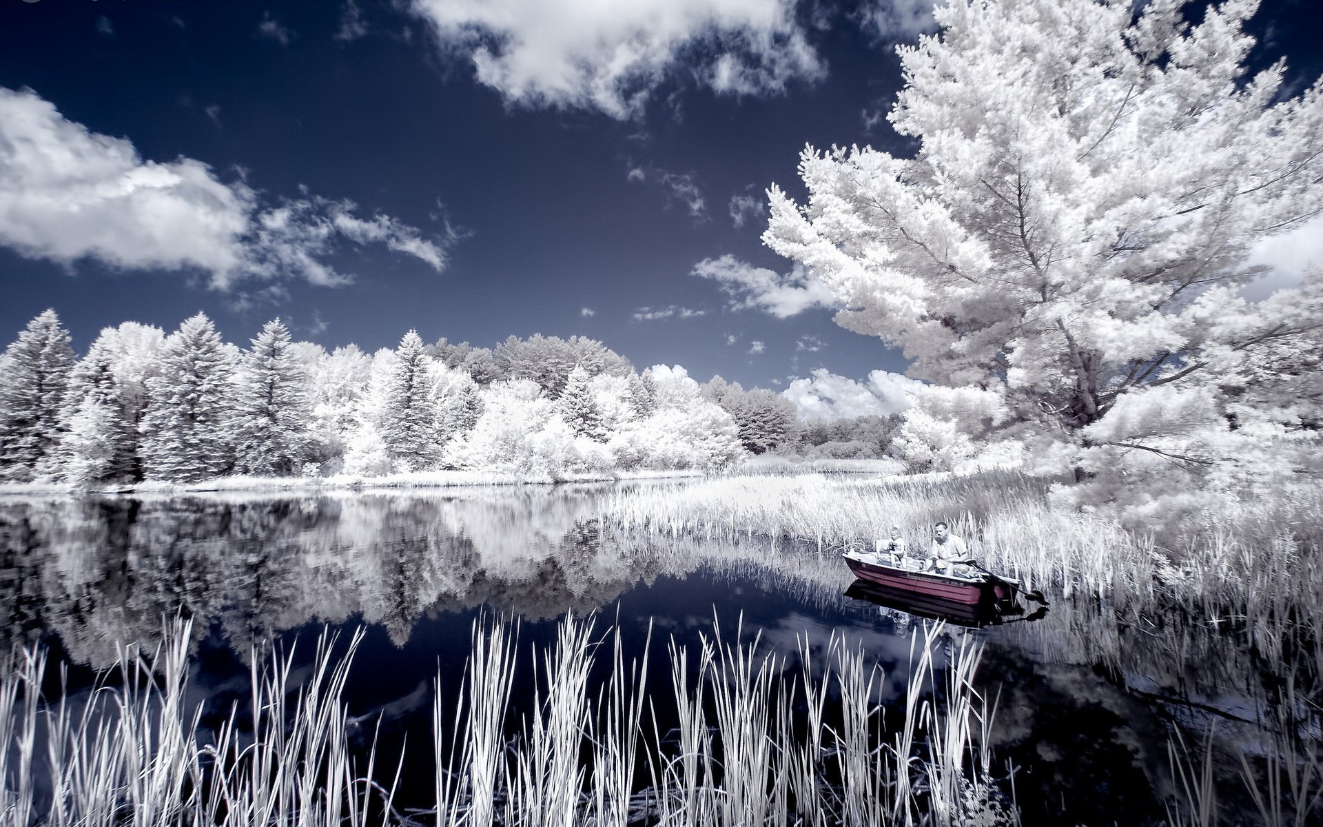 lac bateau nature paysage couleur style