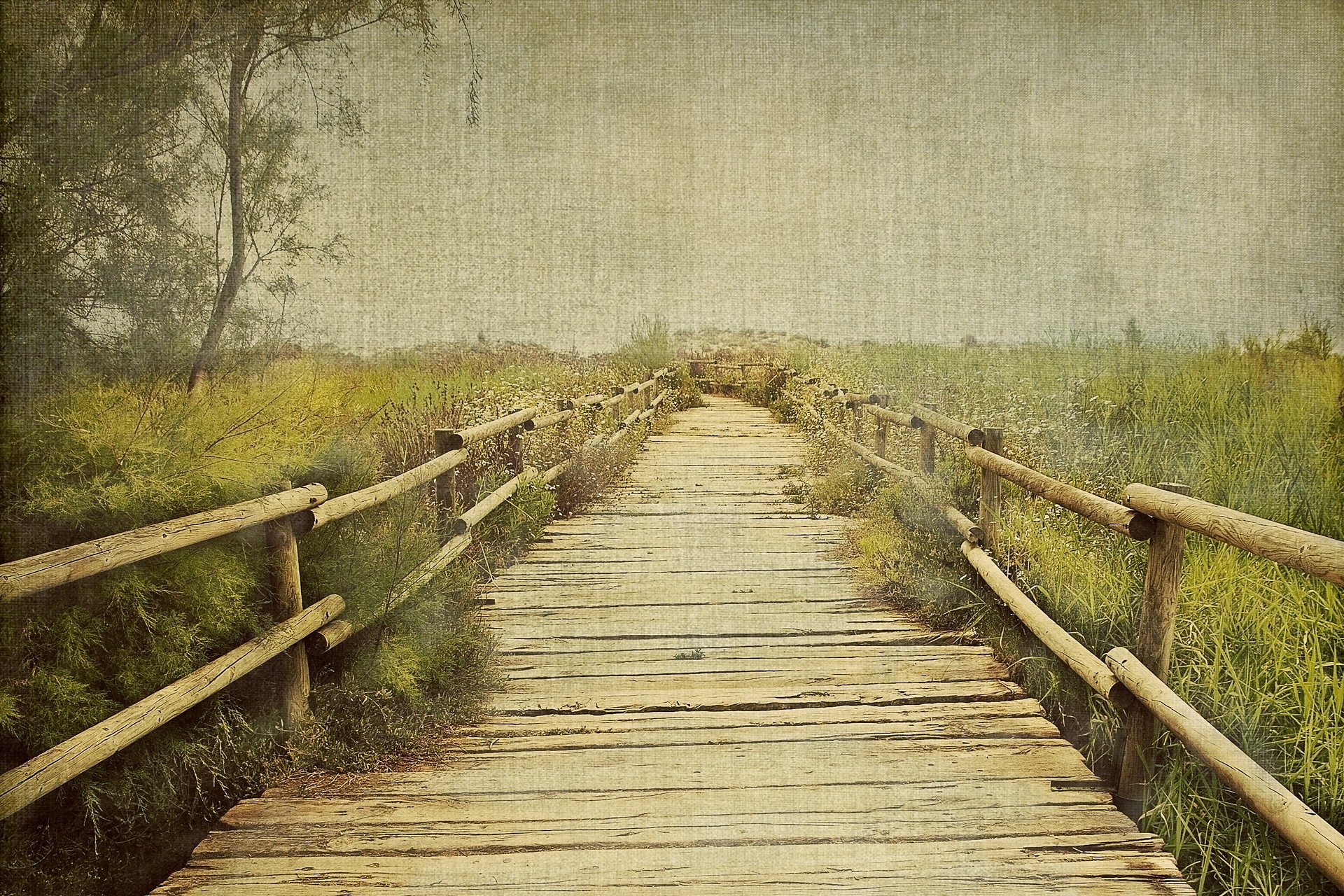 puente árboles naturaleza estilo