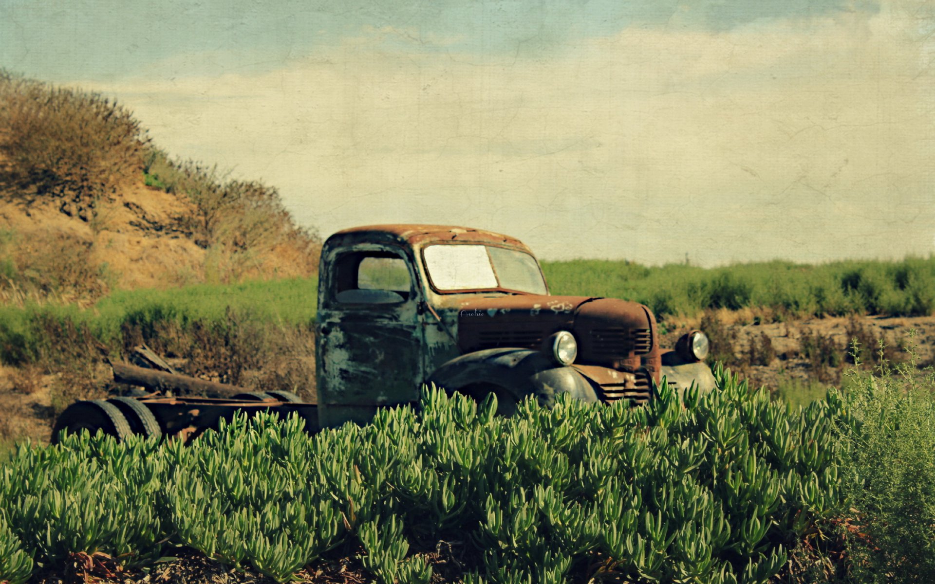 voiture fond style