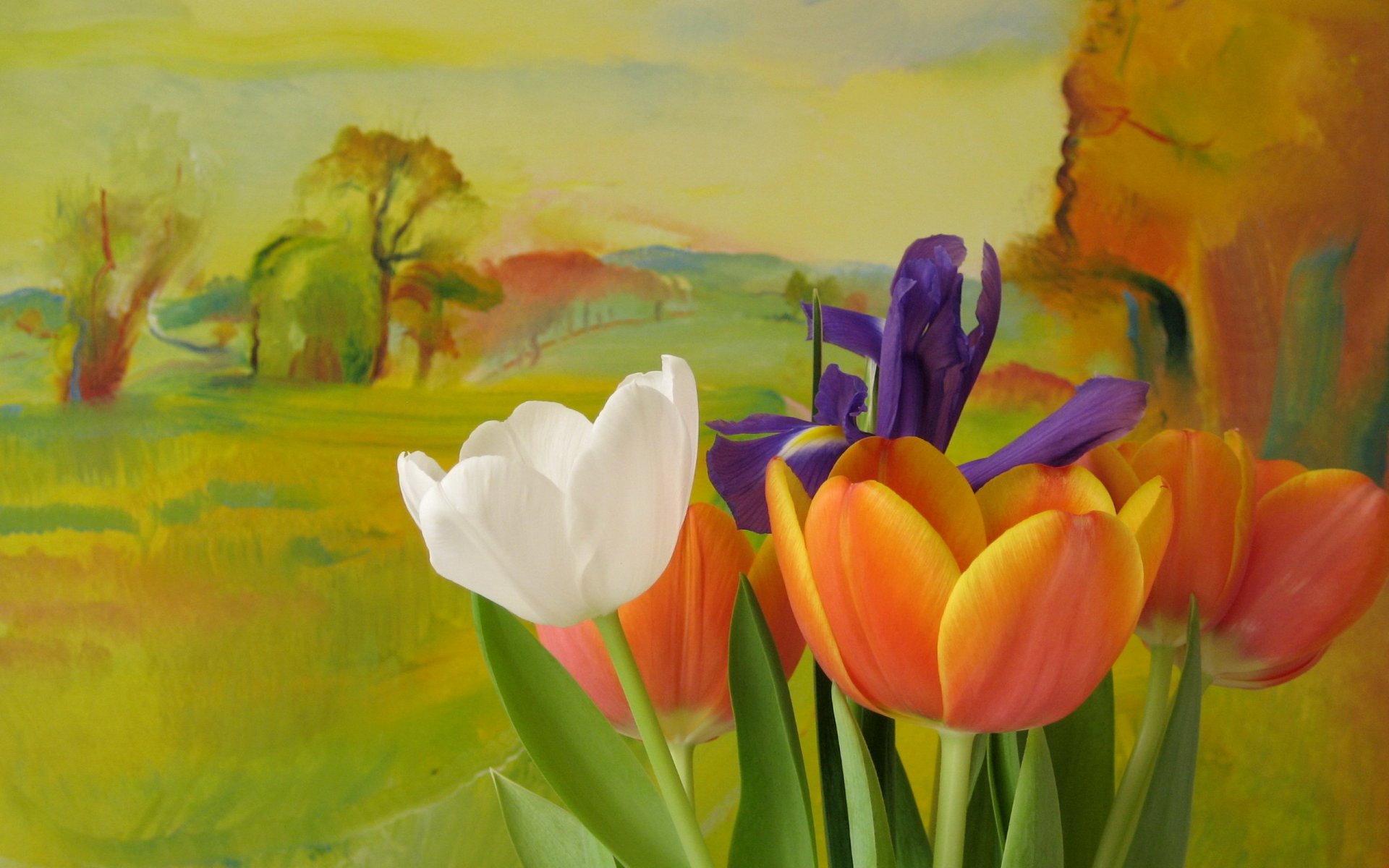 blumen tulpen hintergrund stil