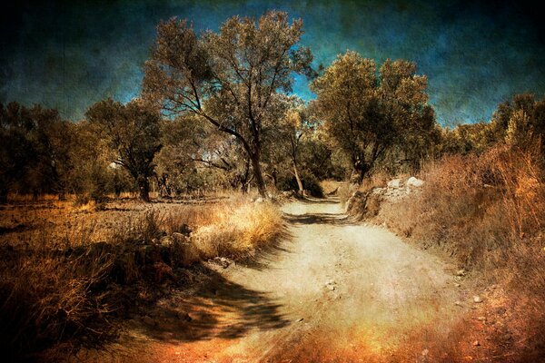 La strada autunnale per un futuro luminoso