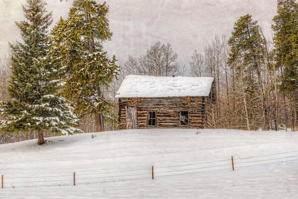 Wald im Winter. Haus am Waldrand