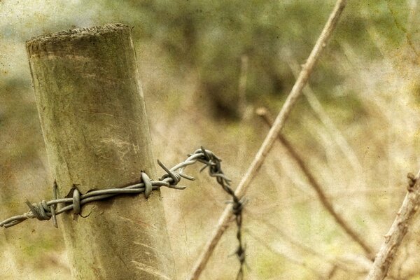 Fence with wiring in enlarged macro format