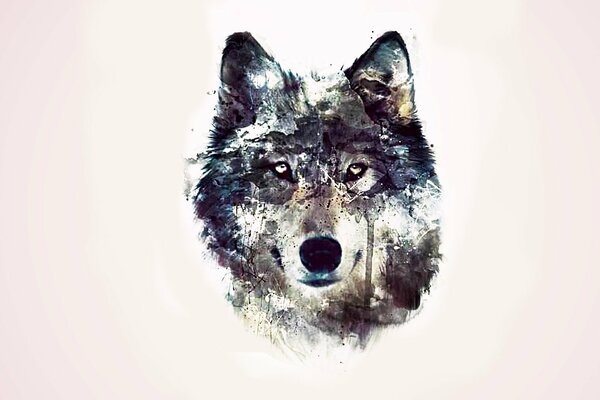 Abstract pink background and gray wolf