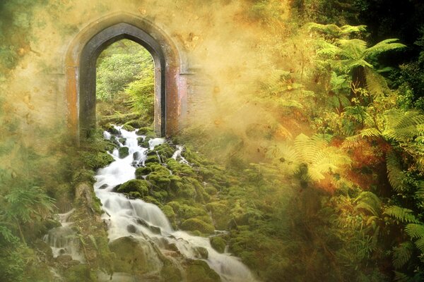 Porte naturelle dans la verdure dense et ruisseau