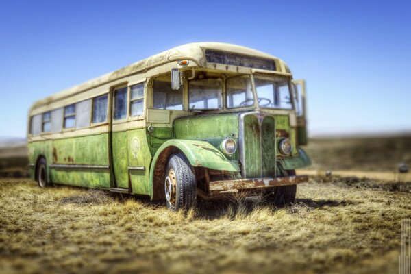 Der kaputte Bus fügt sich harmonisch in den Hintergrund des Feldes ein