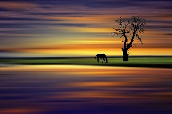 A lonely horse at dawn