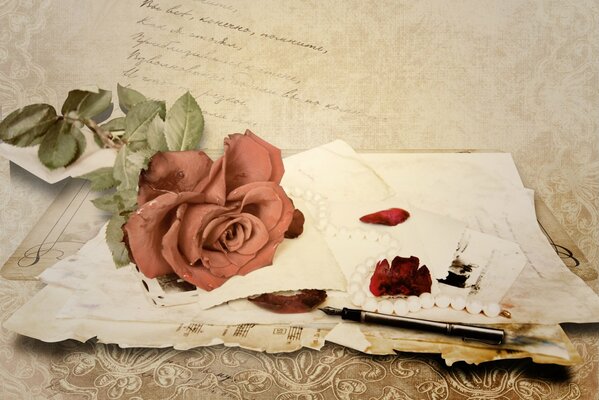 The rose lies on the letter and the notes