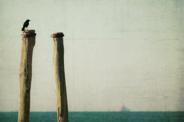 Два столба на фоне моря и на них сидит птица