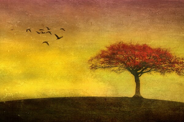 A lonely tree and birds flying away into the distance