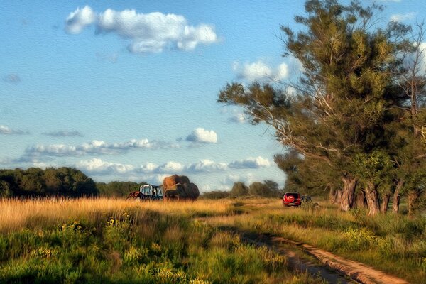 Harvesting hay in the landscape field