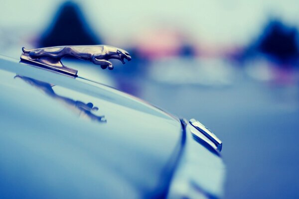 Photo of a Jaguar car figurine