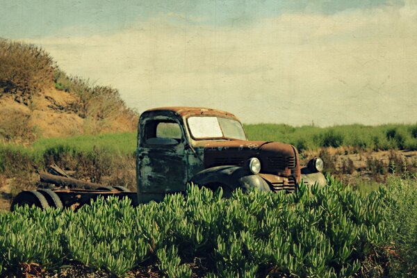 Das Auto ist auf dem Feld. Altes Auto