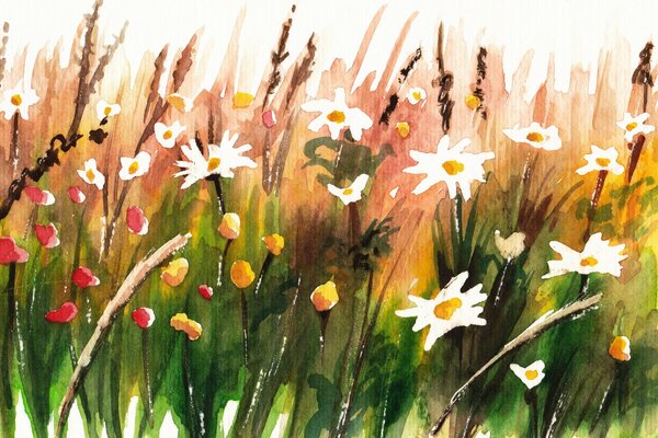 Gänseblümchen auf einer Lichtung mit Aquarell gemalt