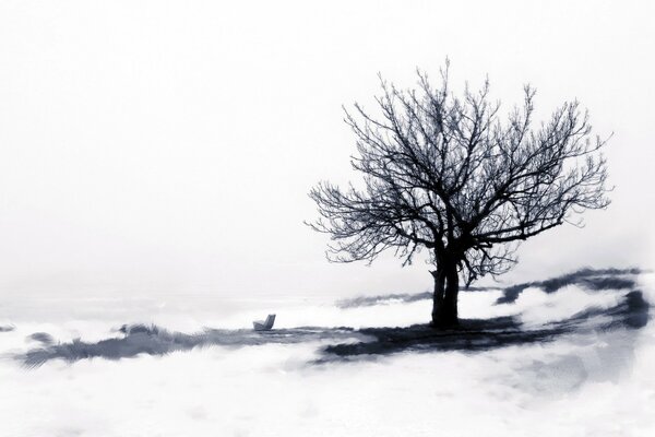 Ebenholz auf Schnee Hintergrund