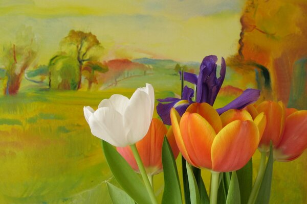 Opened tulips on the background of a green valley